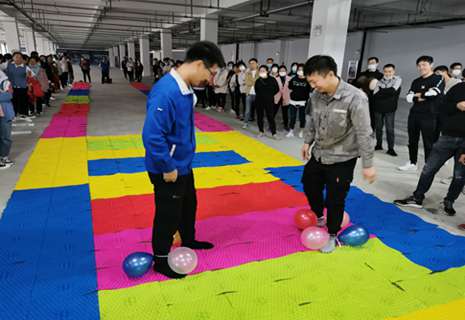 �������ʡ�w66(�й�)���������