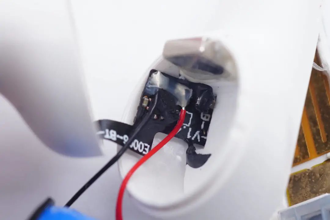 �������ʡ�w66(�й�)���������