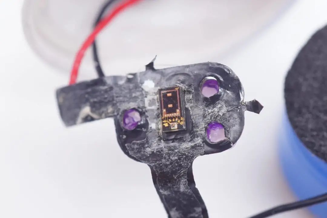 �������ʡ�w66(�й�)���������