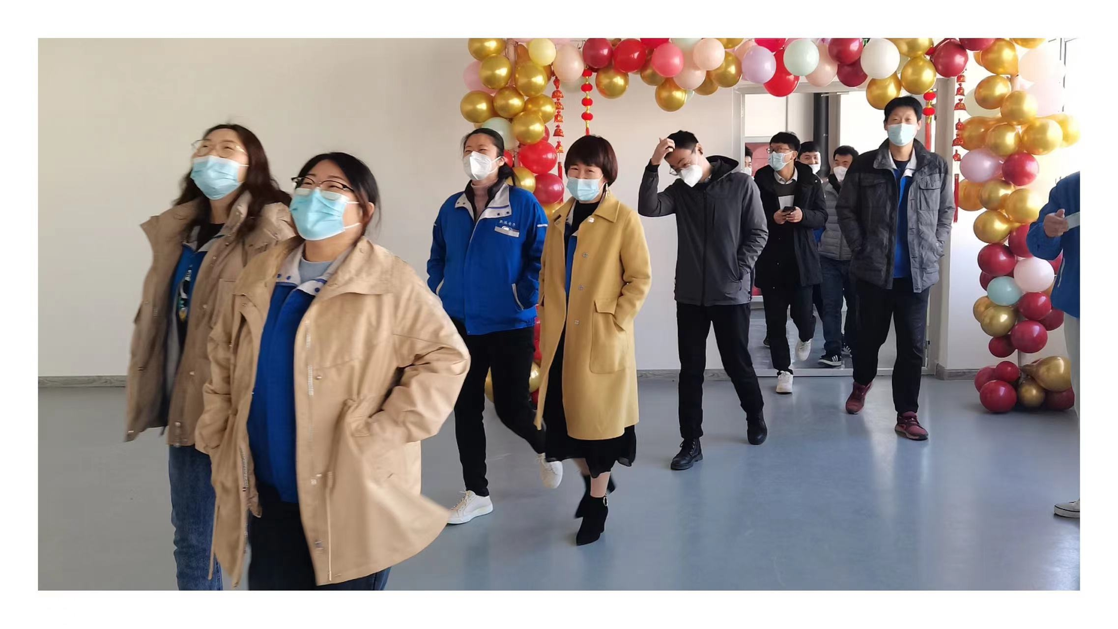 �������ʡ�w66(�й�)���������