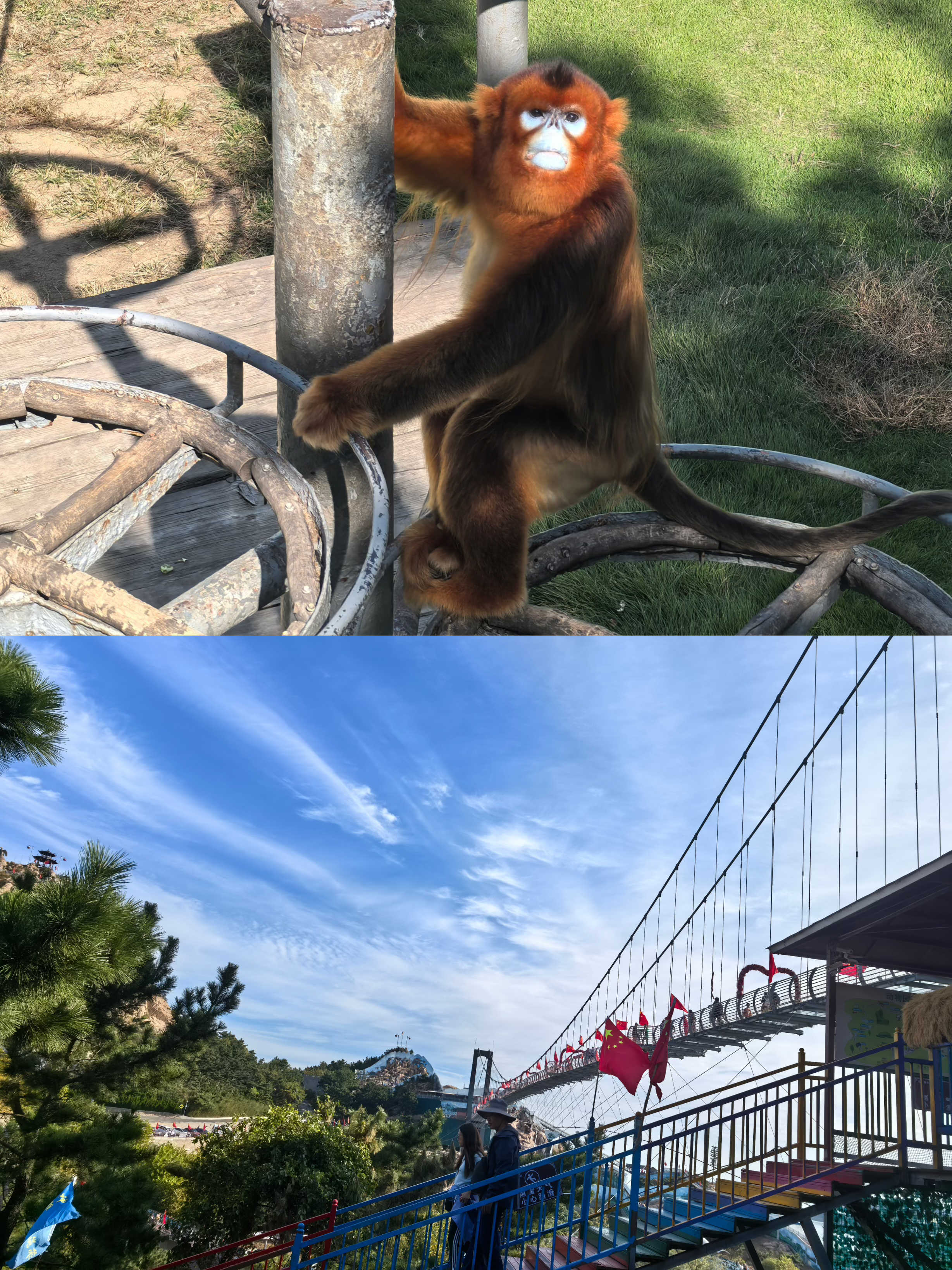 �������ʡ�w66(�й�)���������