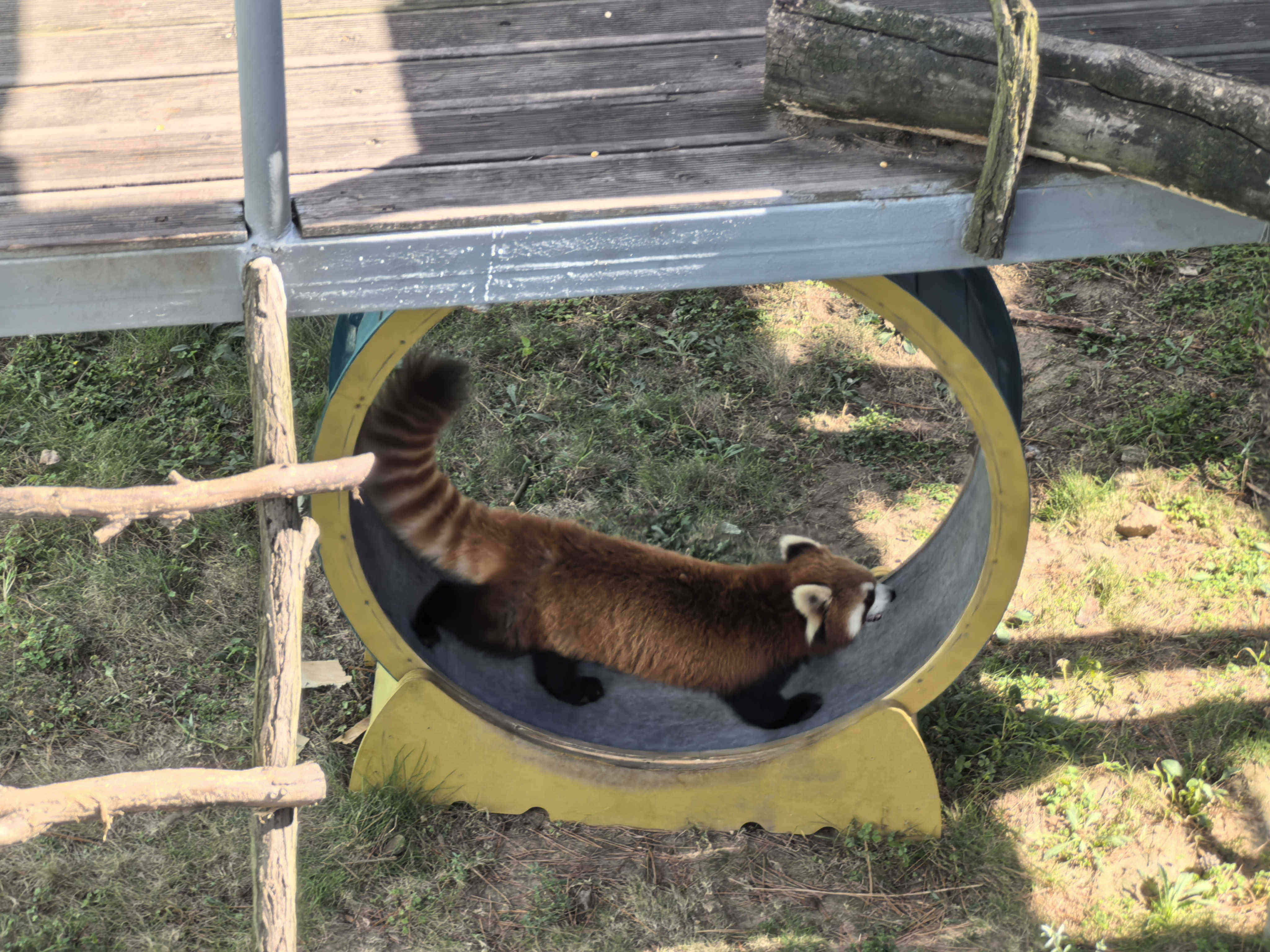 �������ʡ�w66(�й�)���������