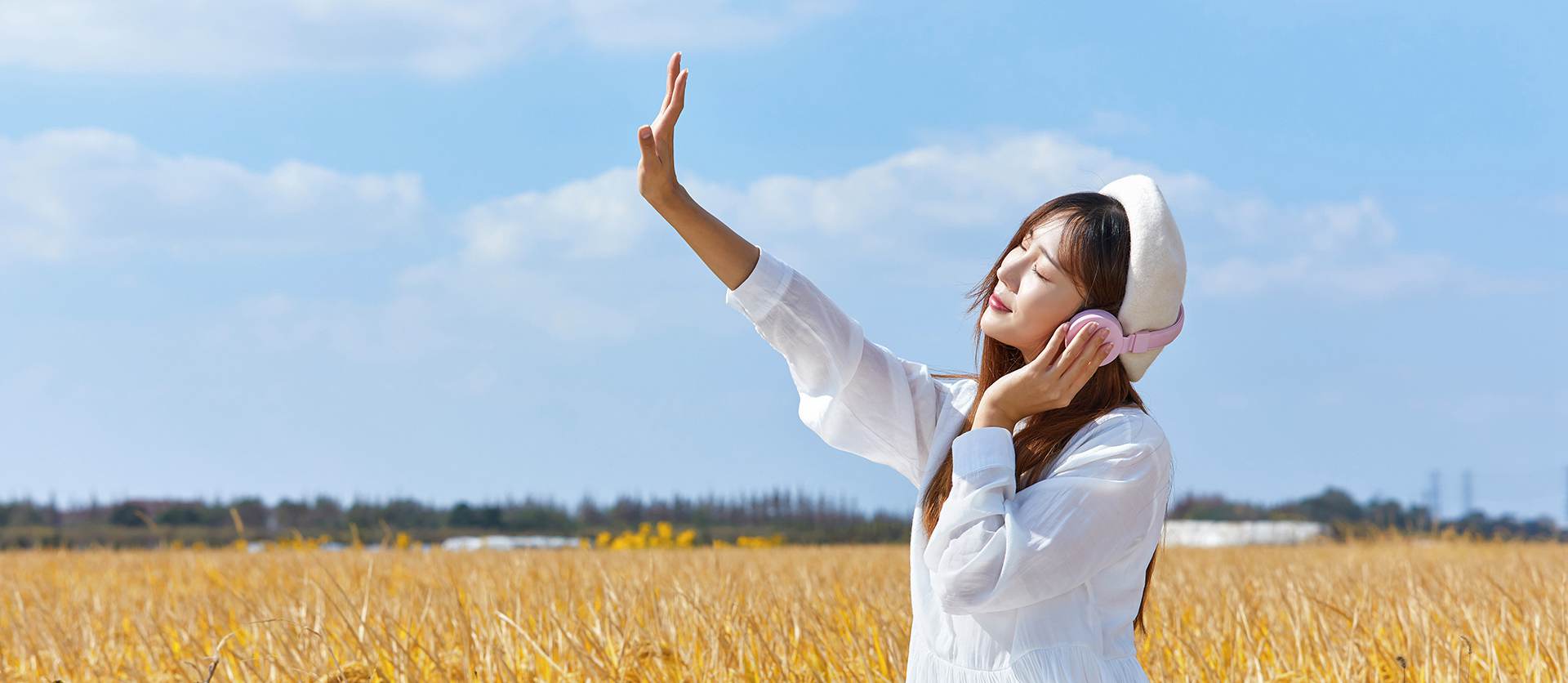 �������ʡ�w66(�й�)���������