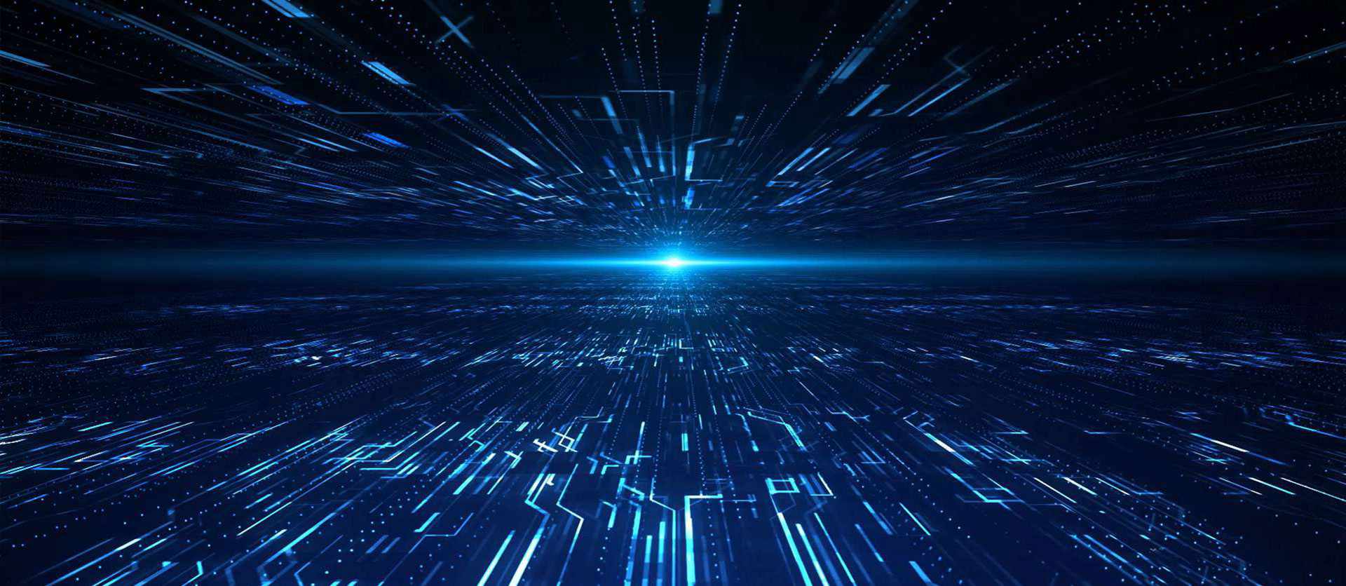 �������ʡ�w66(�й�)���������